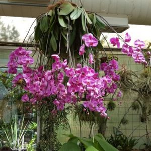 Meet your Posher, Sherry